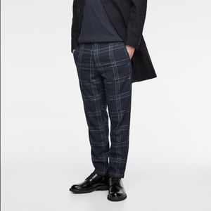 Zara xl plaid plants